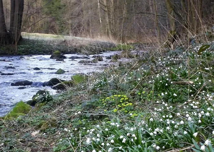 公寓 Zum Lilienstein 巴特尚道